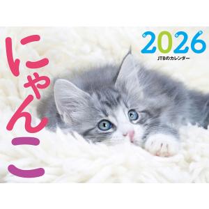 SAPIX サピックス 5年生 パワーアップトレーニング 算数 テキスト 未