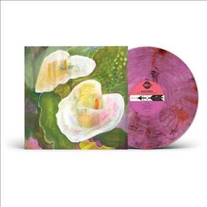 Mae Powell Making Room for the Light＜限定盤/Moonlit S...