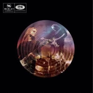 Dizzy Mizz Lizzy ライヴ・イン・...の商品画像