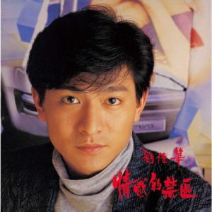 Andy Lau 恋の立入禁止区域  LP