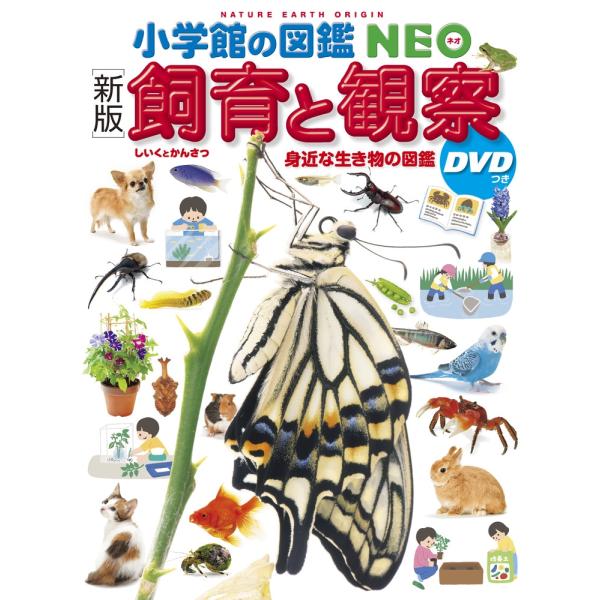 筒井学 小学館の図鑑NEO [新版]飼育と観察 DVDつき 身近な生き物の図鑑 Book
