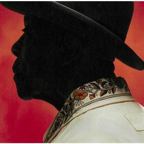 Buddy Guy 終わりなきブルースの旅 CD