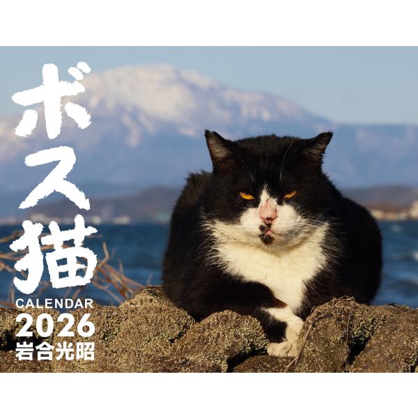 岩合光昭 ボス猫カレンダー2026 Book
