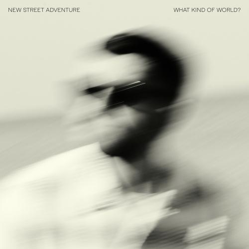 New Street Adventure What Kind Of World? LP