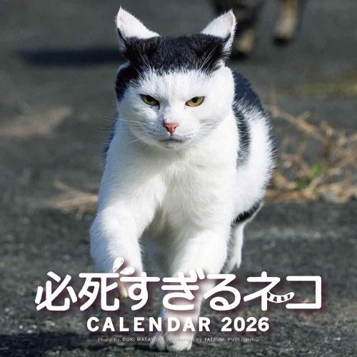 沖昌之 2026 必死すぎるネコカレンダー Calendar