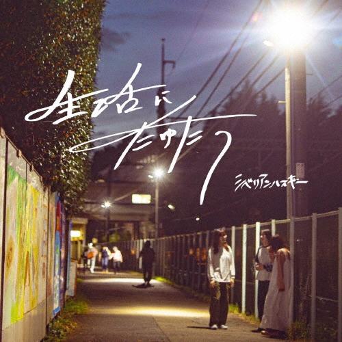 シベリアンハスキー 生活にたゆたう CD-R