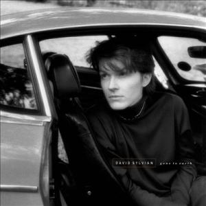 David Sylvian Gone to Earth＜White/Brown/Opaque Bla...