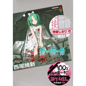 西尾維新 接物語 Bookの詳細画像1