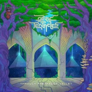 Ozric Tentacles Through the Magick Valley (2002-20...