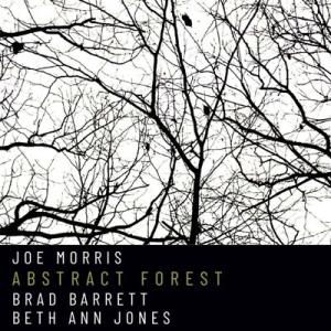 Joe Morris Abstract Forest CD