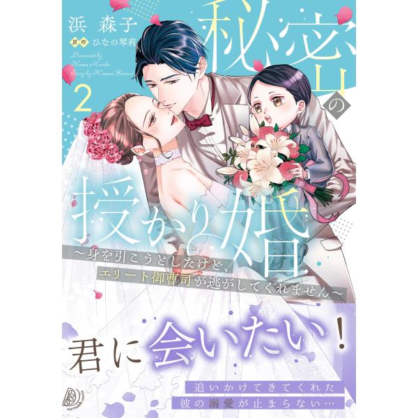 浜森子 秘密の授かり婚〜身を引こうとしたけど、エリート御曹司が逃がしてくれません〜 2 Book
