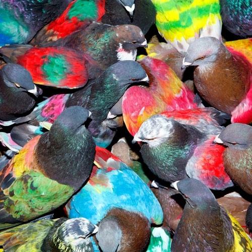 Blawan SickElixir LP