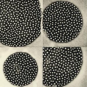 K. Leimer Resting Forms CD