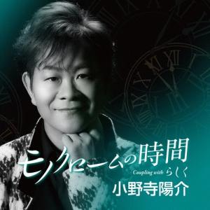 小野寺陽介 モノクロームの時間 C/W らしく ...の商品画像