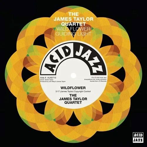 The James Taylor Quartet Wildflower / Guiding Ligh...