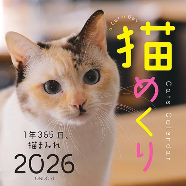株式会社シーオーツー Cats Calendar 猫めくり2026 1年365日、猫まみれ Book