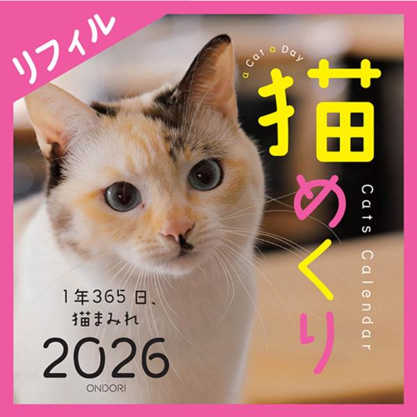 株式会社シーオーツー Cats Calendar 猫めくり リフィル2026 1年365日、猫まみれ...