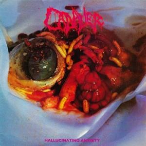 Cadaver Hallucinating Anxiety＜限定盤＞ CD