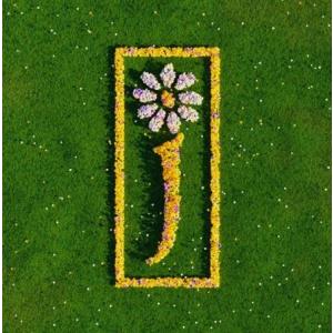 James Nothing but Love: The Definitive Best of Jam...