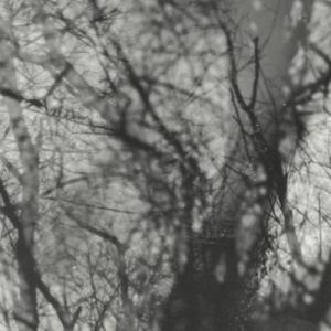 Grouper Way Their Crept CD