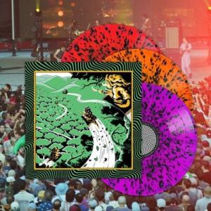 King Gizzard &amp; The Lizard Wizard Live At Forest Hi...
