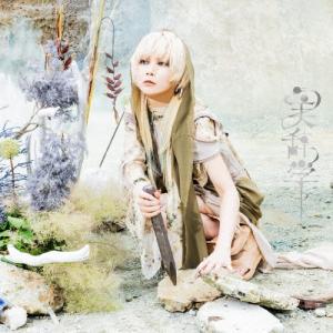 三浦春馬 多部未華子 僕のいた時間 DVD BOX 6枚 : MRKストア - 通販