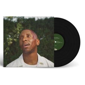 Samm Henshaw It Could Be Worse LP
