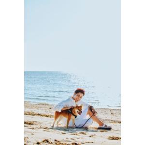 神谷健太 光と影 神谷健太1st写真集 Bookの詳細画像2