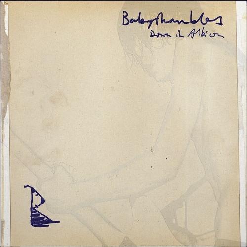 Babyshambles Down In Albion (20th Anniversary Edit...
