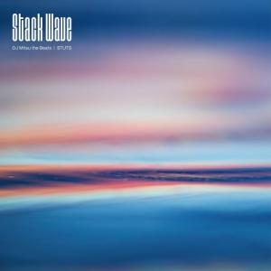 DJ MITSU THE BEATS Stack Wave feat. STUTS 7inch Single