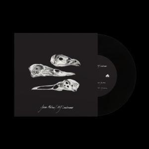 Jason Molina The Last Three Human Words (Demo) / J...