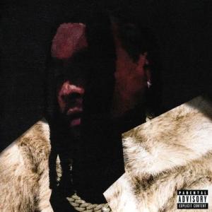 Wale Everything Is A Lot. CD