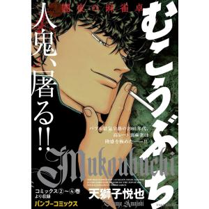天獅子悦也 むこうぶち Vol.2 闇夜の麻雀卓...の商品画像