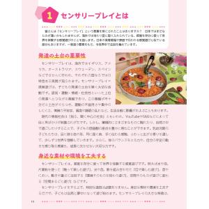 尾本沙菜江 子どもの創造性を高める感覚遊び「セ...の詳細画像2