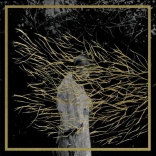 Forest Swords Engravings (2025 Edition)＜限定盤/Night ...