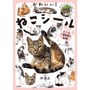 沖昌之 かわいい!ねこシール Book
