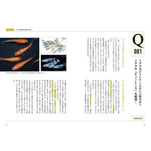 大場貴保 メダカQA100 Bookの詳細画像3