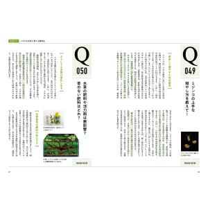 大場貴保 メダカQA100 Bookの詳細画像4