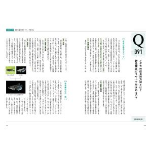 大場貴保 メダカQA100 Bookの詳細画像5