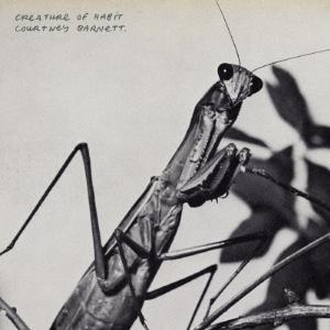 Courtney Barnett Creature Of Habit SHM-CD