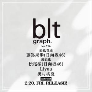 blt graph.vol.114 Mookの買取情報