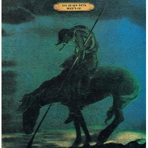 The Beach Boys Surf's Up＜限定盤/Colored Vinyl＞ LP