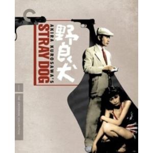 Stray Dog  4K Ultra HD＋Blu-rayの高価買取価格