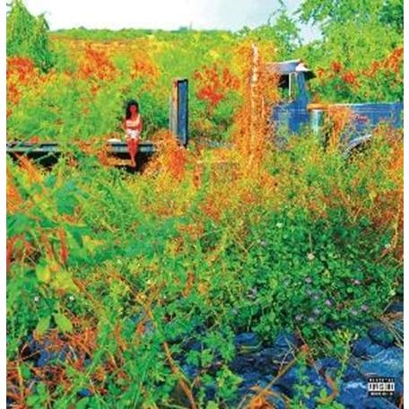 Jhene Aiko Trip＜RECORD STORE DAY対象商品＞ LP