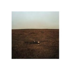Fink The City Is Coming to Erase It All CD