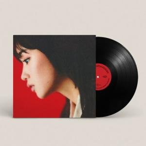 柴田聡子 / Your Favorite Things (再プレス アナログレコード) 〔LP