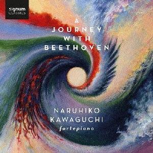 川口成彦 ベートーヴェンとの旅路 CD