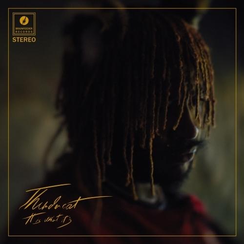 Thundercat It Is What It Is＜数量限定盤/Red Vinyl/日本語帯付/...