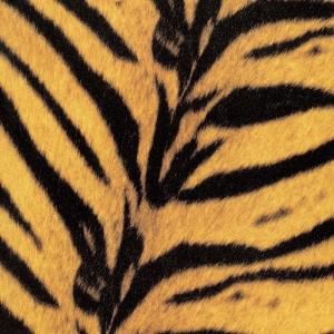 ザ・ハイロウズ Tigermobile＜限定盤＞ LP ※特典あり