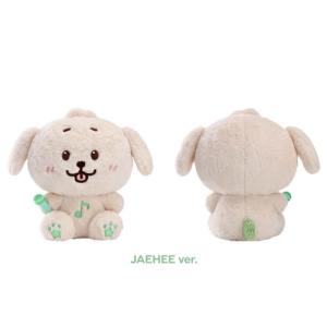 NCT WISH WISH_30CM DOLL (RIKU Ver.) Accessories : タワーレコード